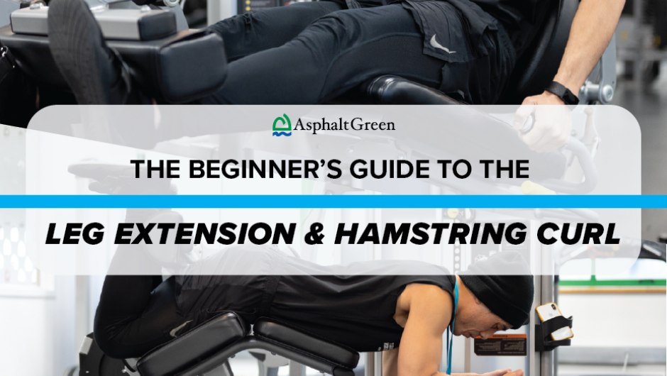 The Beginner’s Guide to the Leg Extension and Hamstring Curl Machines