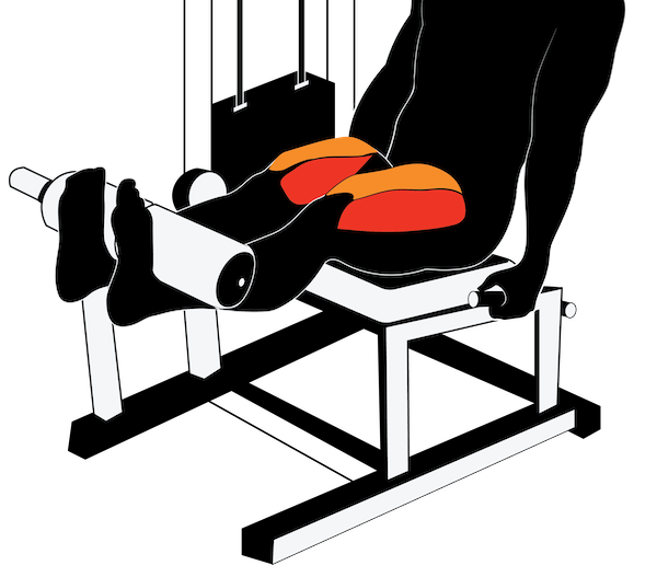 The Beginner's Guide to the Leg Extension and Hamstring Curl Machines