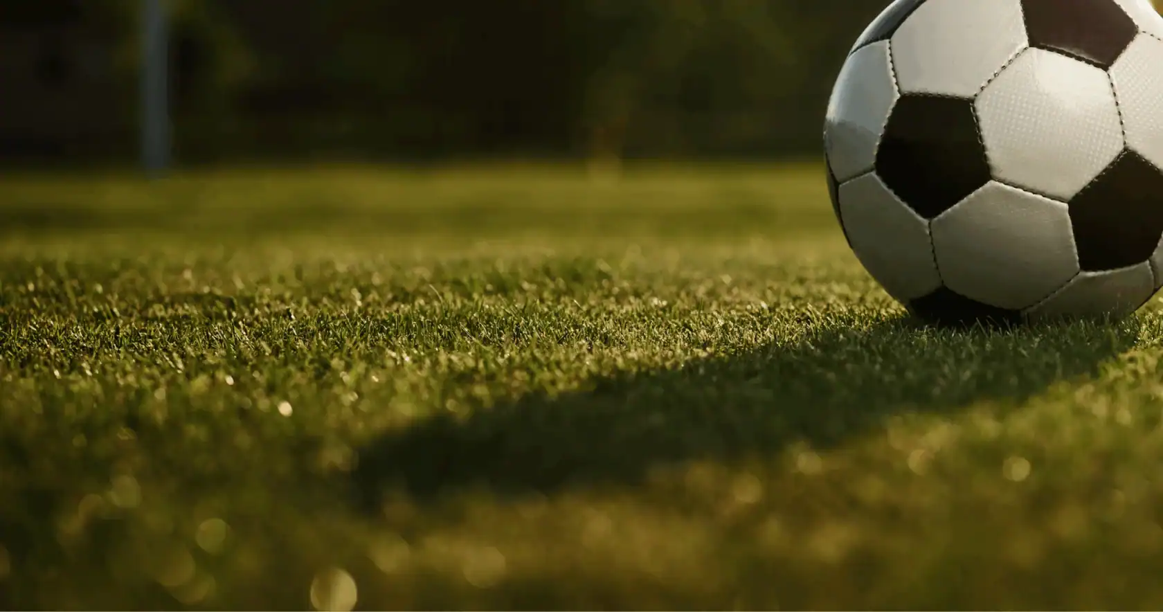 A black and white soccer ball rests on a grassy field, casting a shadow in the sunlight.