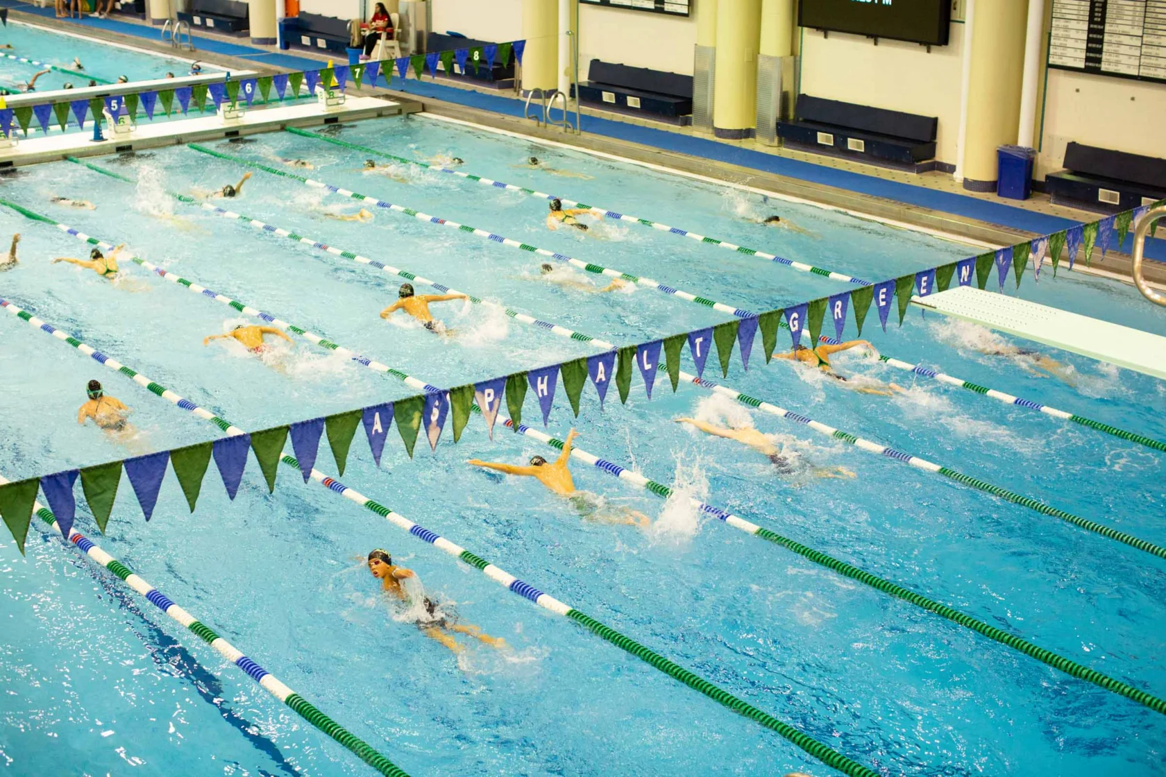 Swimmers compete in lanes at an indoor swimming pool, marked by green and blue flags above.
