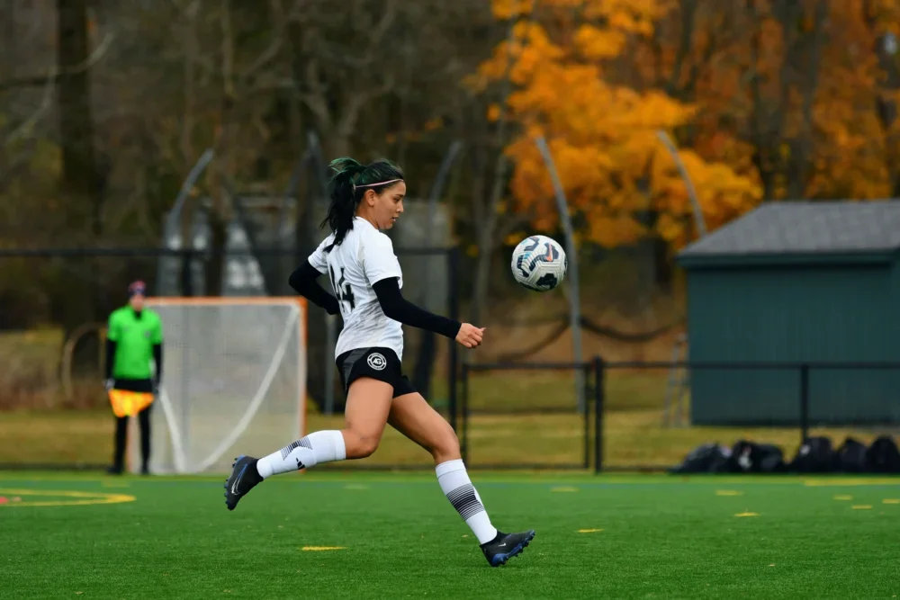 A soccer player in a white and black uniform kicks a ball mid-air on a green field. A goalpost and trees with orange leaves are visible in the background.