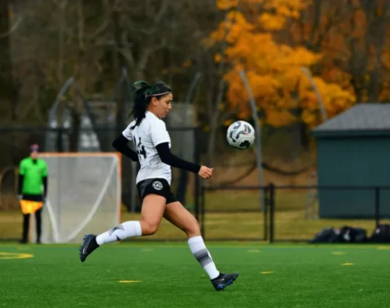 A soccer player in a white and black uniform kicks a ball mid-air on a green field. A goalpost and trees with orange leaves are visible in the background.