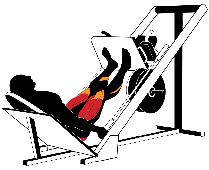 Seated Leg Press Diagram The ANATOMY Of Leg Raise
