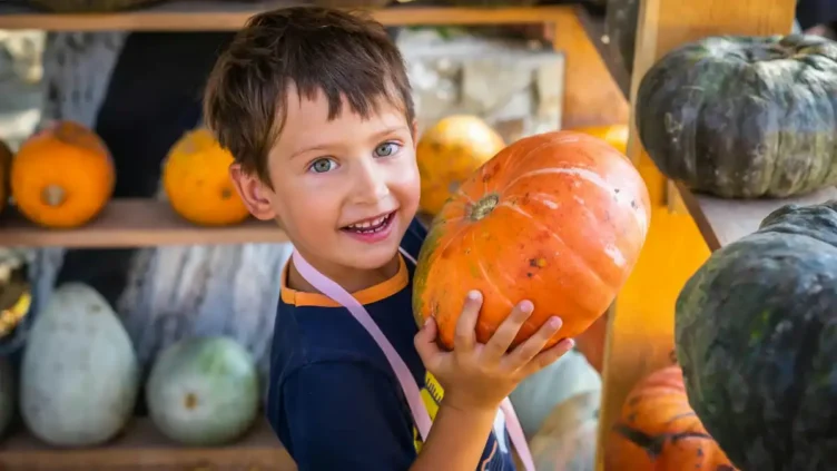 A young boy smiles while holding a large orange pumpkin, surrounded by various pumpkins and gourds on shelves.